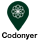 Codonyer